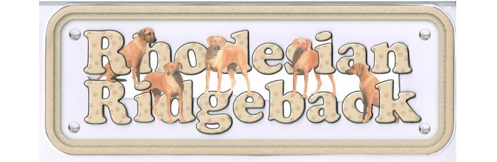 Rhodesian Ridgeback Rhodesian Ridgeback